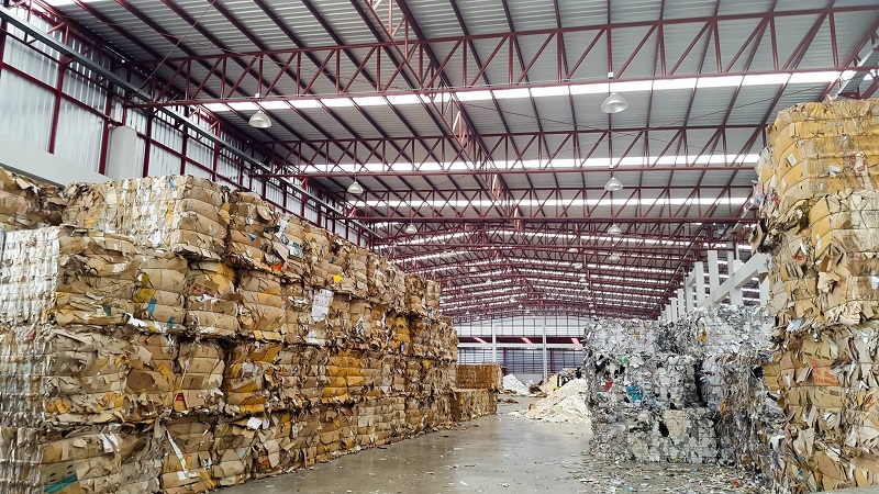 Thua mua giấy phế liệu giá cao 2